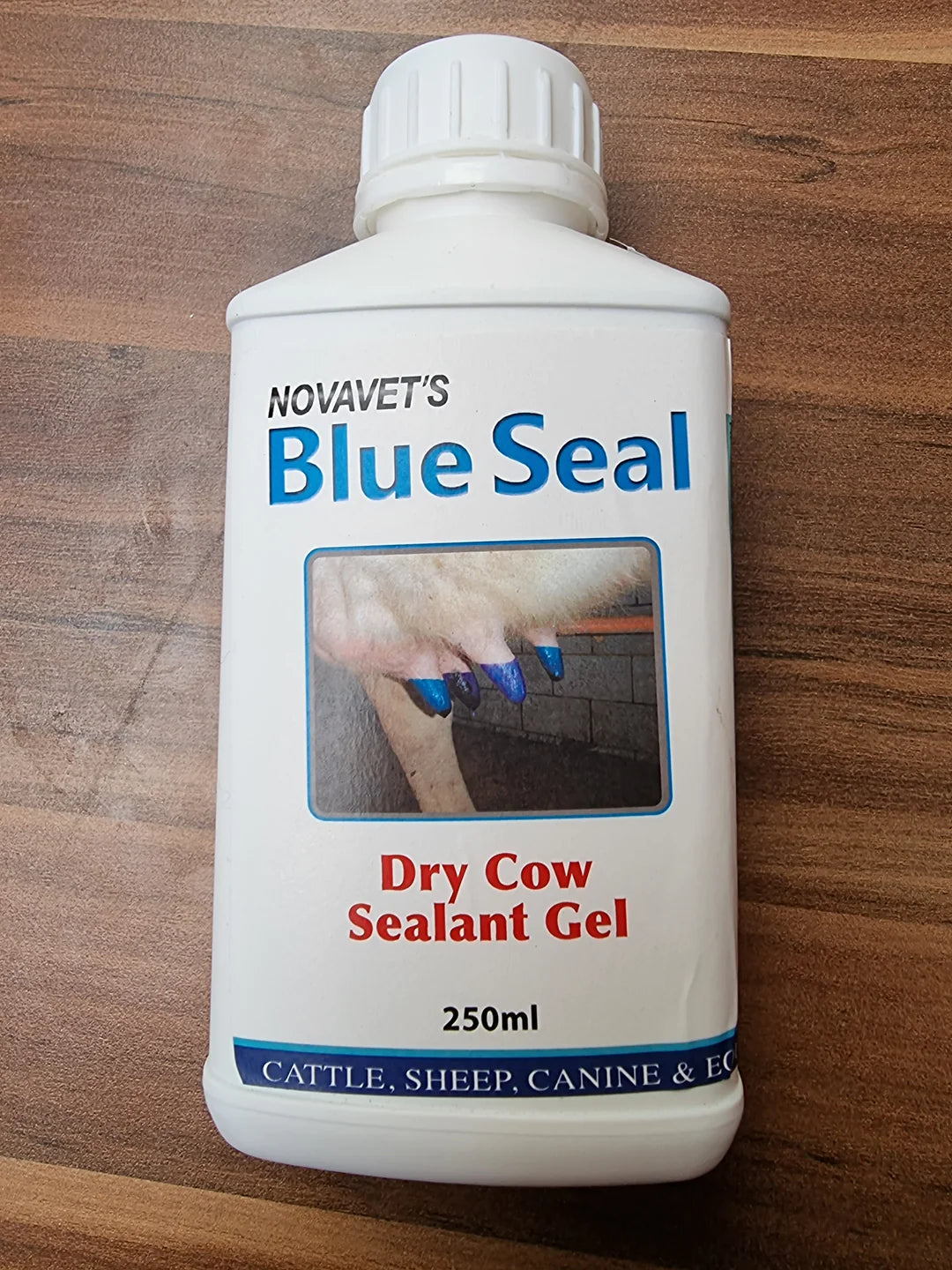 Blue Seal