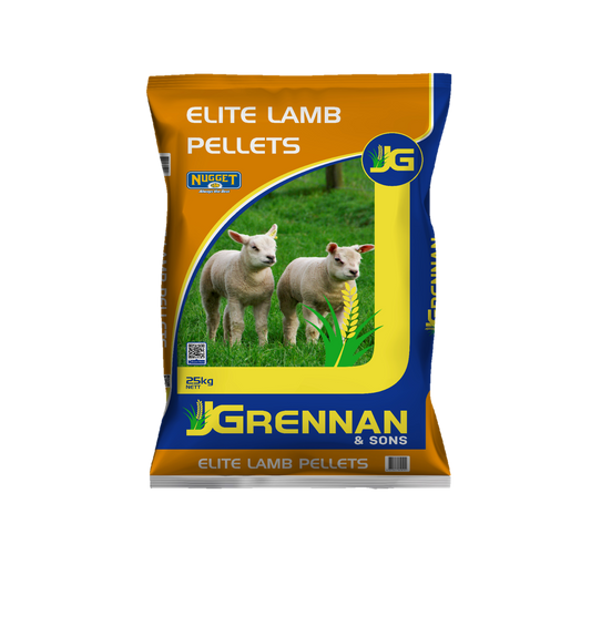 Elite Lamb Nut