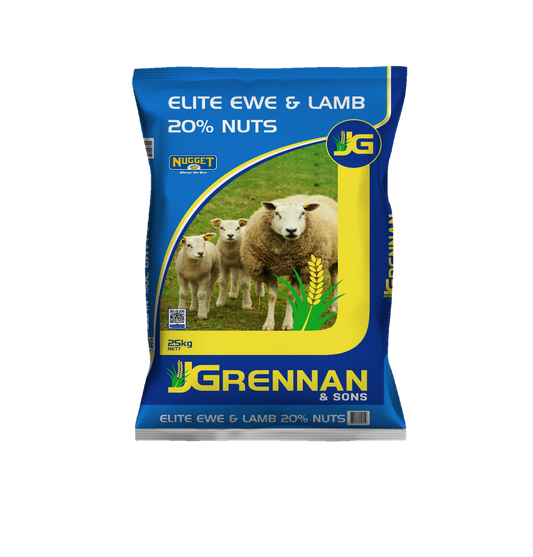 Elite Ewe & Lamb 20% Nut