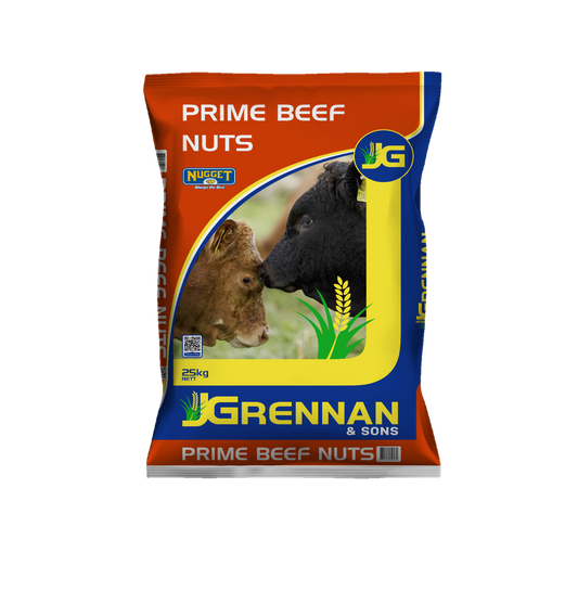 Prime Beef 16