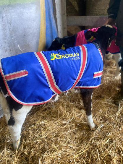 JG BLUE CALF JACKET BUNDLE OF 5