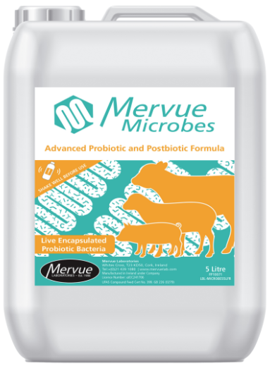 Mervue Microbes