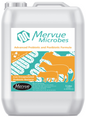 Mervue Microbes