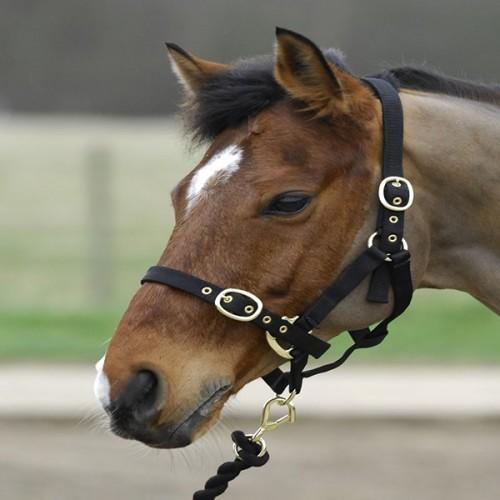 Headcollar Nylon Adj Black