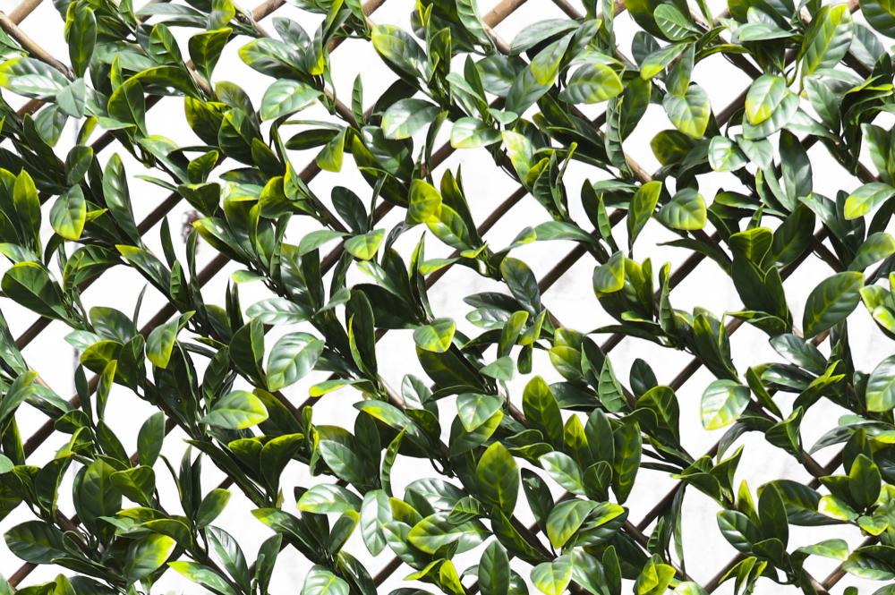 100X200CM LAUREL LEAF TRELLIS