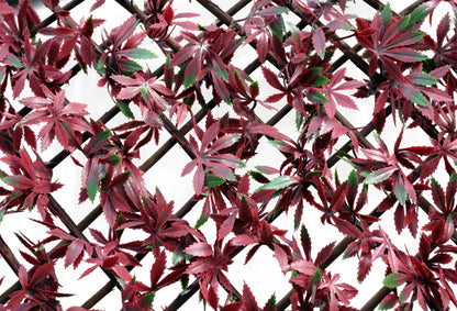 100X200CM RED ACER TRELLIS