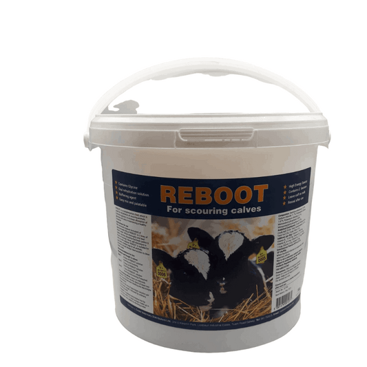 Reboot 1.25kg