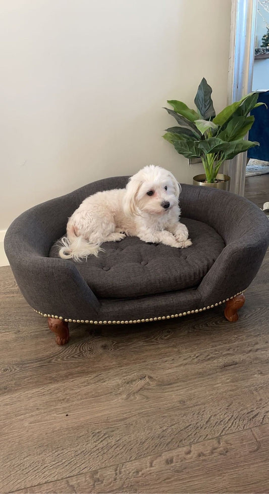 J GRENNAN DELUXE PET CHAIR