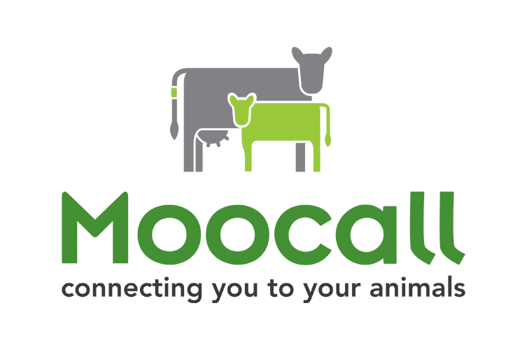 MOOCALL CALVING AID