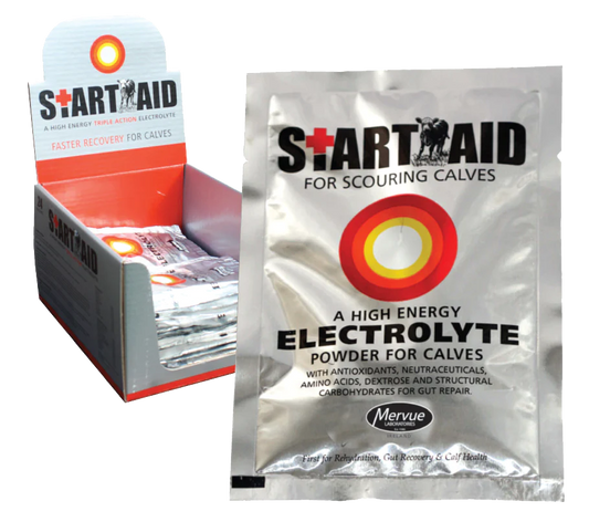 STARTAID ELECTROLYTE 80GRM