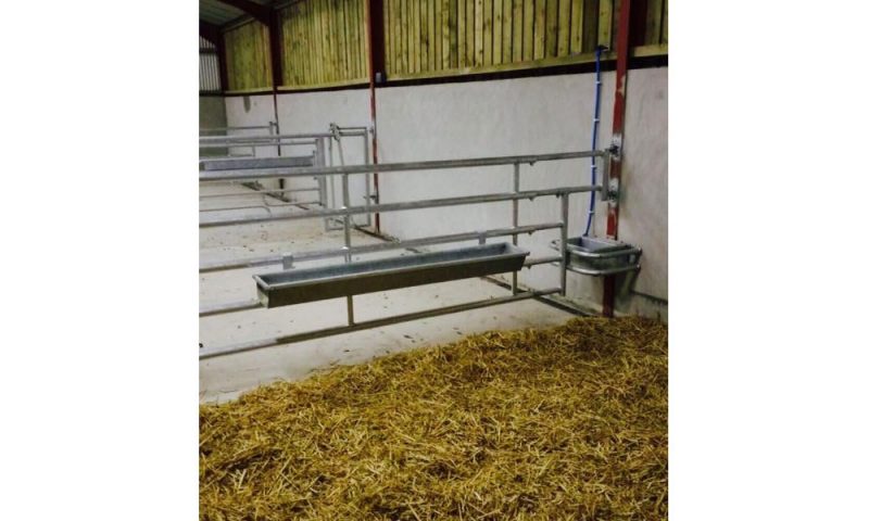 GALV. HANGING CALF TROUGH (Condon)