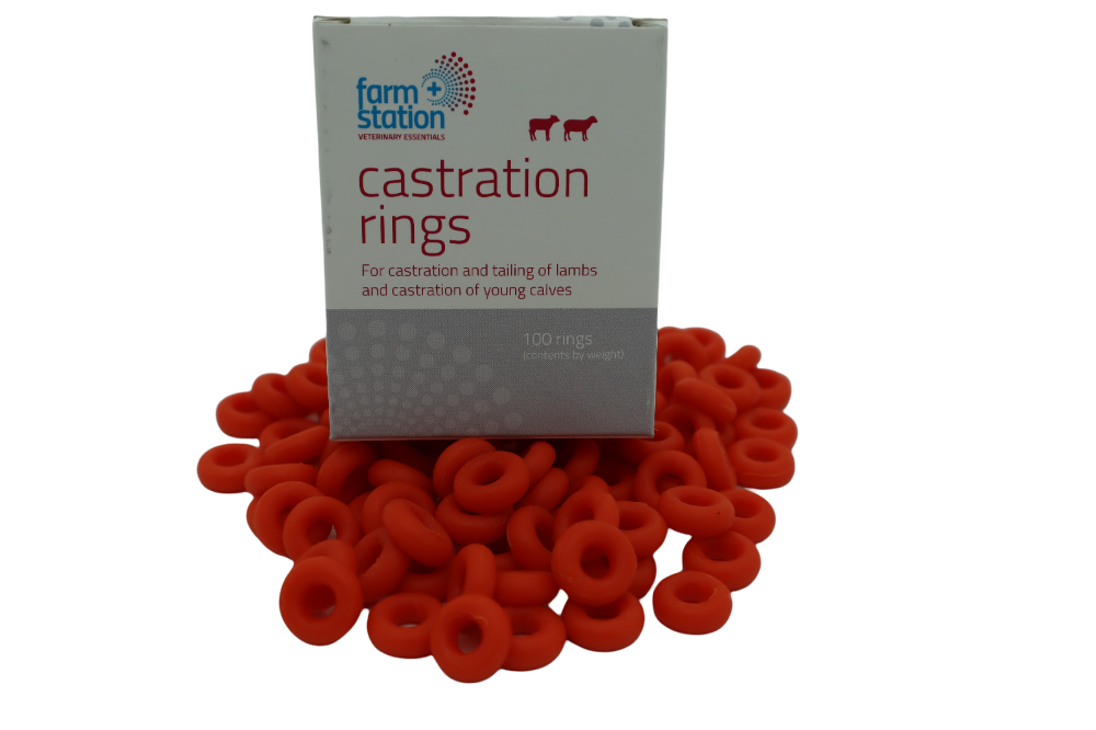 ELASTRATOR  LAMB RINGS BOX 100