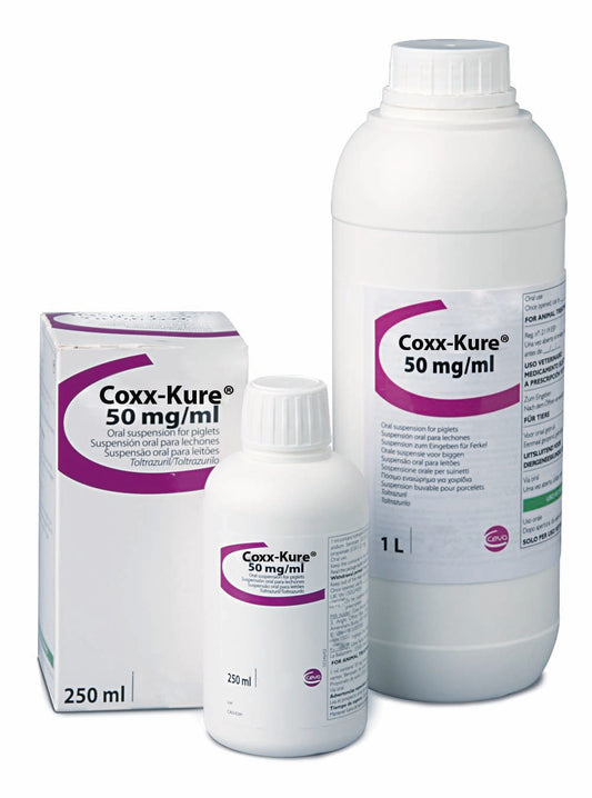 Coxx Kure 1LT