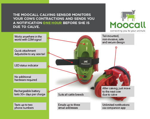 MOOCALL CALVING AID