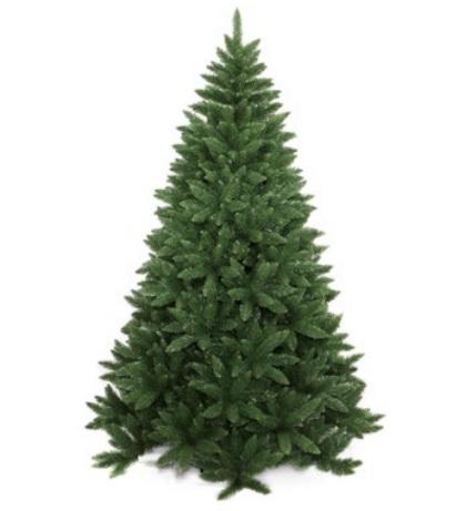 6' PROVIDENCE FIR